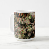 Krassula perforata kaffeetasse (Vorderseite Links)