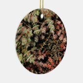 Krassula perforata keramik ornament (Rechts)