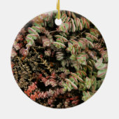 Krassula perforata keramik ornament (Hinten)