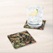 Krassula perforata rechteckiger pappuntersetzer (Vor Ort)