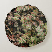 Krassula perforata rundes kissen (Rückseite)