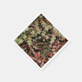 Krassula perforata serviette (Ecke)