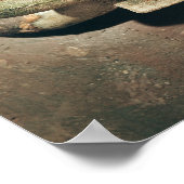 Krater, Detail des Handles Poster (Ecke)