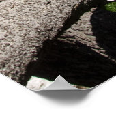 Krater Lake National Park - Wizard Island Poster (Ecke)