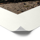 Krater Lake Panorama Poster (Ecke)