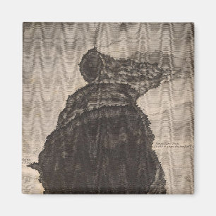 Krater von Mokuaweoweo, Mouna Loa, Hawaii Magnet