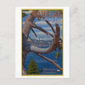 Kratersee - Sommer 2011 Postkarte (Vorderseite)