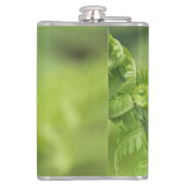 Kräuselnfarn-Blätter, Grün, verwischte Hintergrund Flachmann (Rückseite)