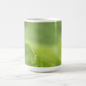 Kräuselnfarn-Blätter, Grün, verwischte Hintergrund Kaffeetasse (Mittel)