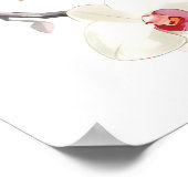 Kraut des Brautparty der Rosa und Weißen Orchideen Poster (Ecke)