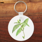 Kraut Schlüsselanhänger (Vorderseite)