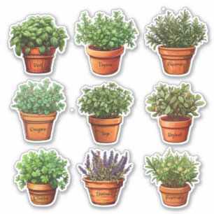 Kräuter in Terracotta Pots Stickers Aufkleber