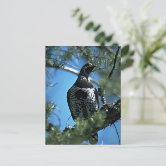 Kräuter, männlich postkarte (Stehend Vorderseite)