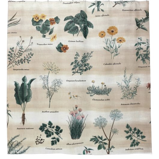 Kräuter Pflanze Blume Duschvorhang (Vorderseite)