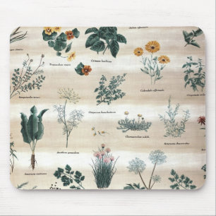 Kräuter Pflanze Blume Mousepad