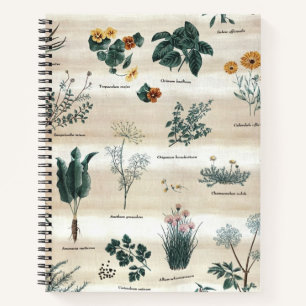 Kräuter Pflanze Blume Notizblock