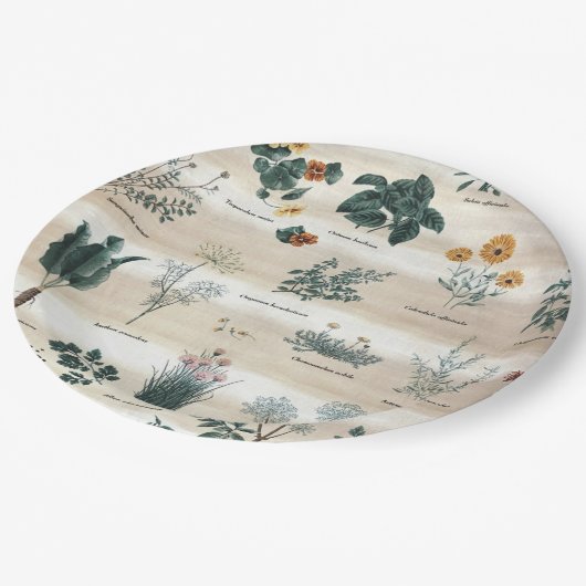 Kräuter Pflanze Blume Pappteller (Schrägansicht)