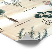 Kräuter Pflanze Blume Poster (Ecke)