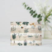 Kräuter Pflanze Blume Postkarte (Stehend Vorderseite)