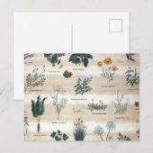 Kräuter Pflanze Blume Postkarte (Vorne/Hinten)