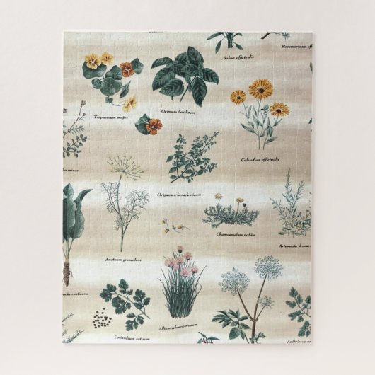 Kräuter Pflanze Blume Puzzle (Vertikal)