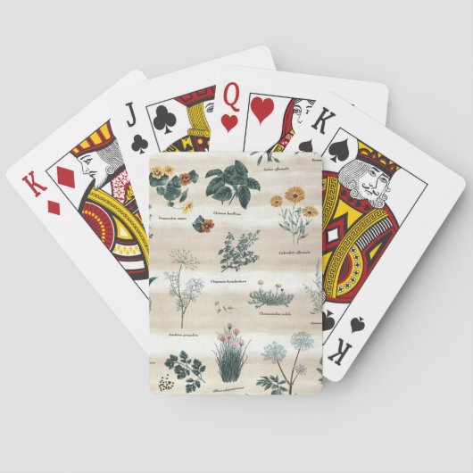 Kräuter Pflanze Blume Spielkarten (Rückseite)