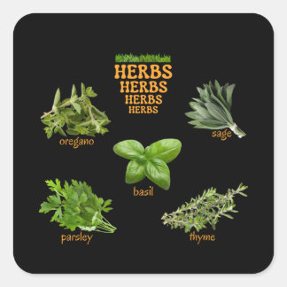 Kräuter Stickers Oregano Basil Thyme