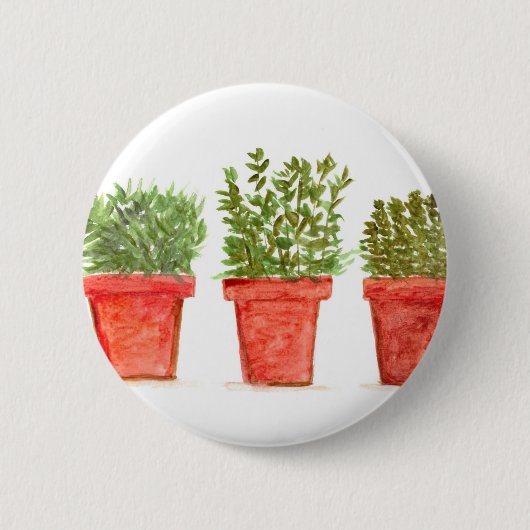 Kräuter Thymian Rosmarin Minze Button (Vorderseite)