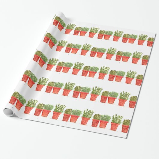 Kräuter Thymian Rosmarin Minze Geschenkpapier (Ungerollt)