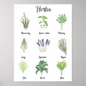 Kräuter Wasserfarbensage Thyme Rosemary Küche Poster (Vorne)