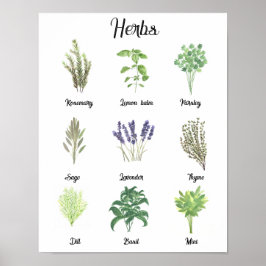 Kräuter Wasserfarbensage Thyme Rosemary Küche Poster