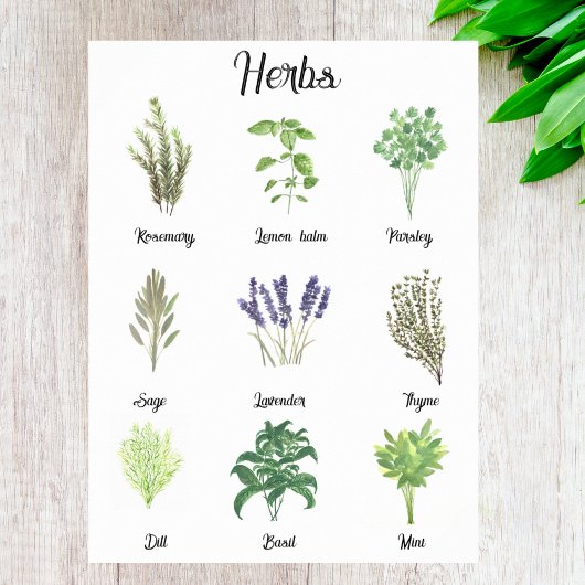 Kräuter Wasserfarbensage Thyme Rosemary Küche Poster