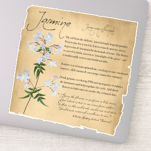 Kräuterapothecary: Jasmine Botanischer Aufkleber