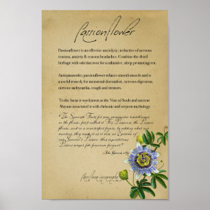 Kräuterapothecary: Passionblume   Botanische Poste Poster