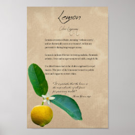 Kräuterapothekar: Lemon | Botanisches Poster