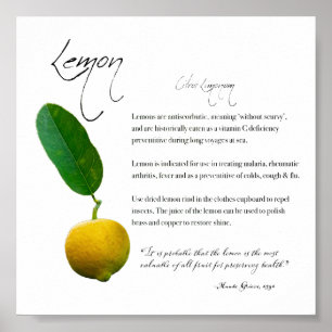 Kräuterapothekar: Lemon Value Paper Poster