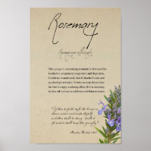 Kräuterapothekar: Rosemary | Großes Poster
