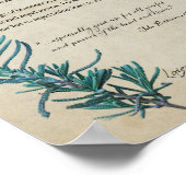 Kräuterapotheke: Lavendel | Botanisches Poster (Ecke)