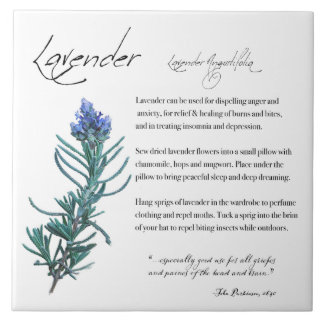 Kräuterapotheke: Lavendel | KERAMIK Fliese