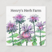 Kräuterfarm Bee Balm Medicinal Pflanze Business Ca Quadratische Visitenkarte (Vorderseite)