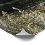 Kräuterfarm Poster (Ecke)