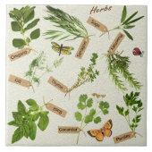 Kräuterfliesen Fliese (Vorderseite)