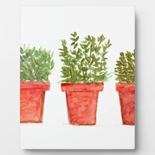 Kräutergummi Fotoplatte