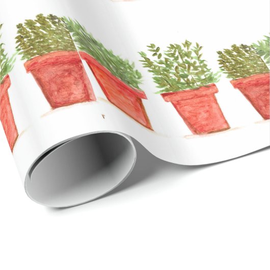 Kräutergummi Geschenkpapier (Rolleneckpunkt)