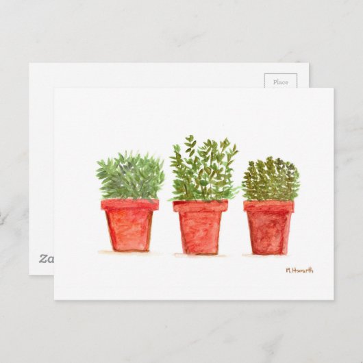 Kräutergummi Postkarte (Vorne/Hinten)