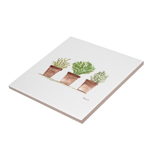 Kräuterhalle Salbeirosemary thyme Aquarell rustika Fliese (Seite)