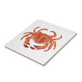 Kräuterküste Fliese (Seite)