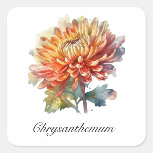 Kräuterleben: Chrysanthemum anpassbar Quadratischer Aufkleber