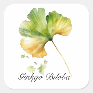 Kräuterleben: Ginkgo Biloba Blatt anpassbar Quadratischer Aufkleber