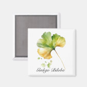 Kräuterleben: Ginkgo Biloba-Blattwasserfarbe Magnet (Vorderseite/Rückseite)